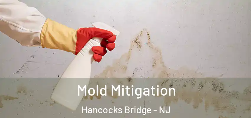 Mold Mitigation Hancocks Bridge - NJ