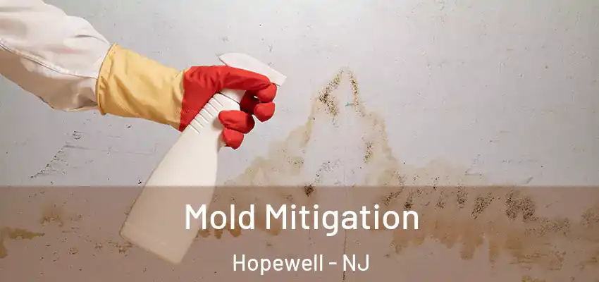  Mold Mitigation Hopewell - NJ