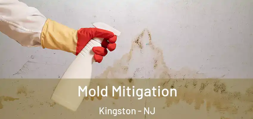  Mold Mitigation Kingston - NJ