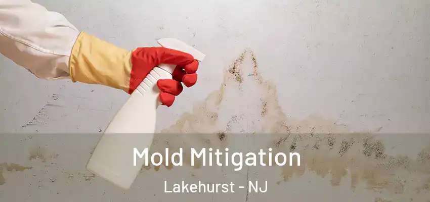  Mold Mitigation Lakehurst - NJ
