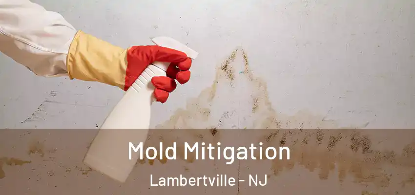  Mold Mitigation Lambertville - NJ
