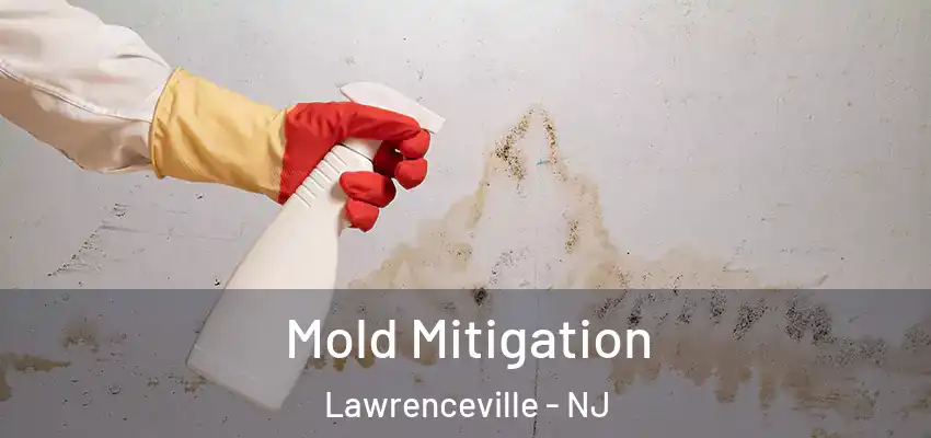 Mold Mitigation Lawrenceville - NJ