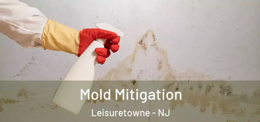 Mold Mitigation Leisuretowne - NJ