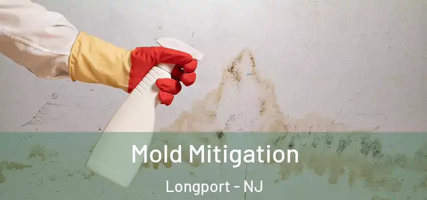  Mold Mitigation Longport - NJ