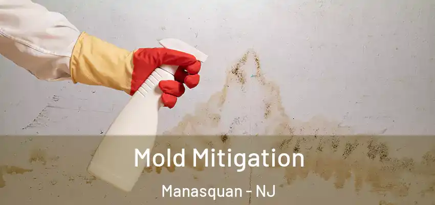  Mold Mitigation Manasquan - NJ