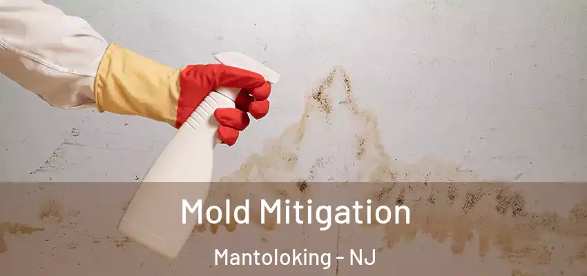  Mold Mitigation Mantoloking - NJ
