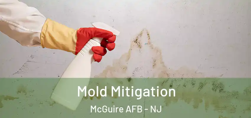  Mold Mitigation McGuire AFB - NJ