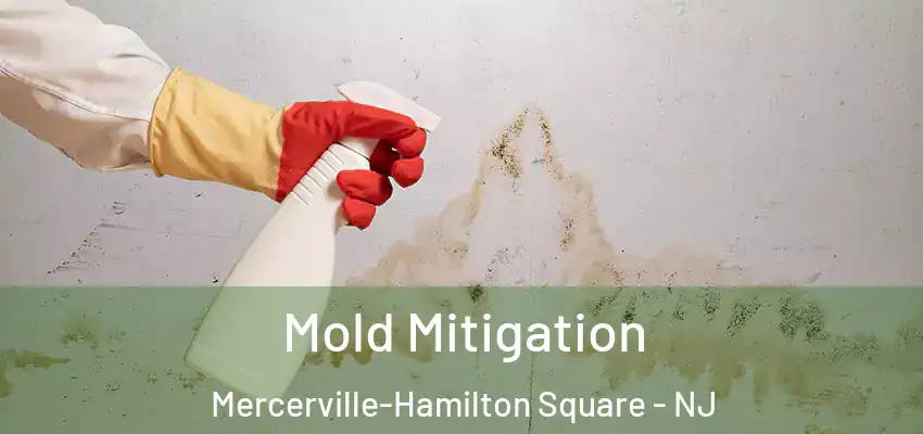 Mold Mitigation Mercerville-Hamilton Square - NJ