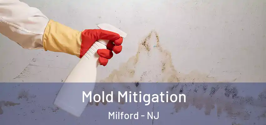  Mold Mitigation Milford - NJ