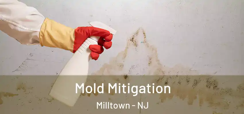  Mold Mitigation Milltown - NJ