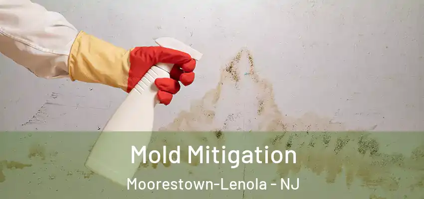 Mold Mitigation Moorestown-Lenola - NJ