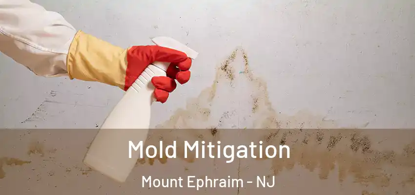 Mold Mitigation Mount Ephraim - NJ
