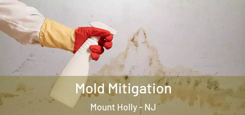  Mold Mitigation Mount Holly - NJ