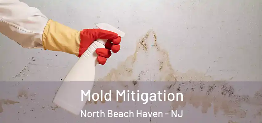  Mold Mitigation North Beach Haven - NJ