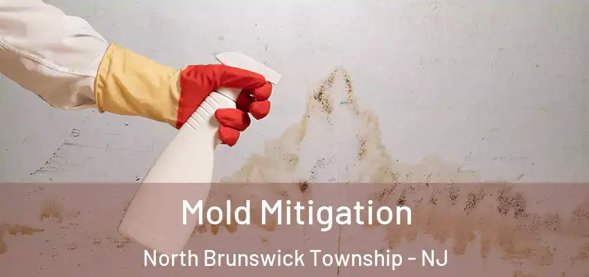 Mold Mitigation North Brunswick Township - NJ