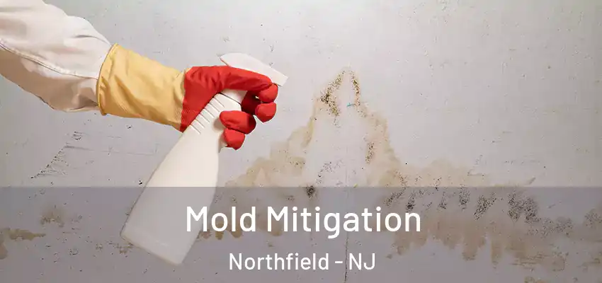  Mold Mitigation Northfield - NJ