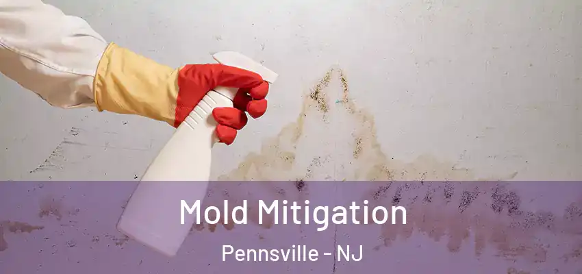 Mold Mitigation Pennsville - NJ