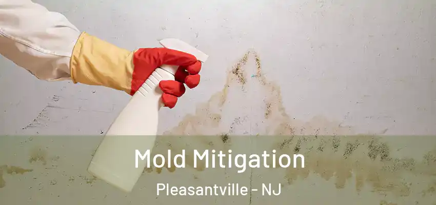 Mold Mitigation Pleasantville - NJ