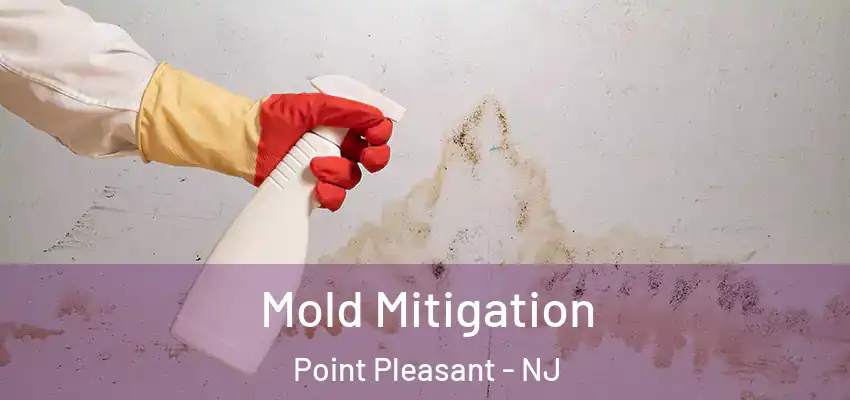  Mold Mitigation Point Pleasant - NJ