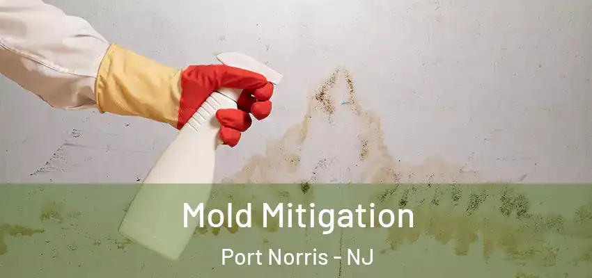  Mold Mitigation Port Norris - NJ