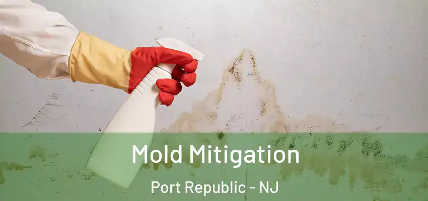 Mold Mitigation Port Republic - NJ