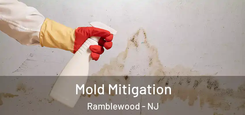  Mold Mitigation Ramblewood - NJ