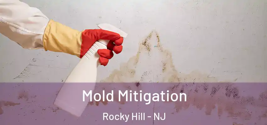  Mold Mitigation Rocky Hill - NJ