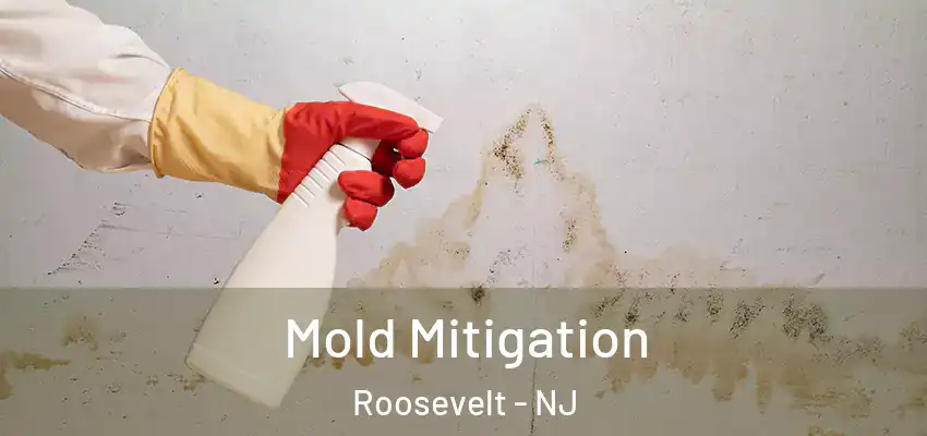  Mold Mitigation Roosevelt - NJ