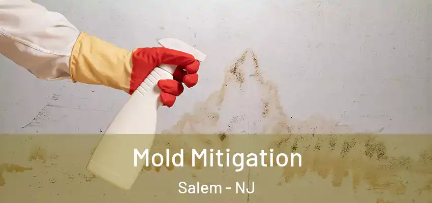 Mold Mitigation Salem - NJ