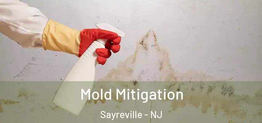  Mold Mitigation Sayreville - NJ