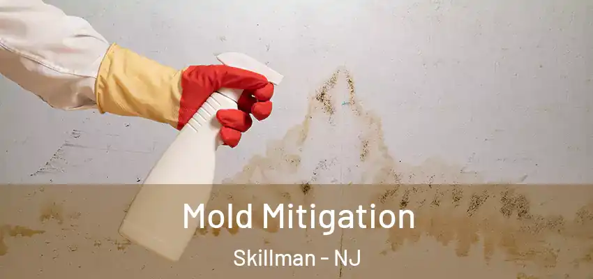  Mold Mitigation Skillman - NJ