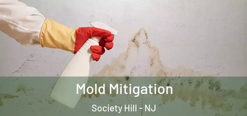 Mold Mitigation Society Hill - NJ