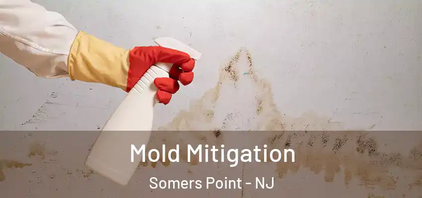  Mold Mitigation Somers Point - NJ