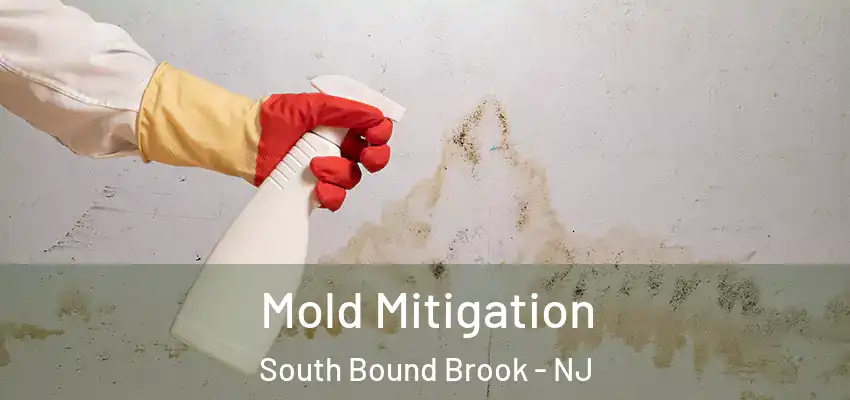 Mold Mitigation South Bound Brook - NJ