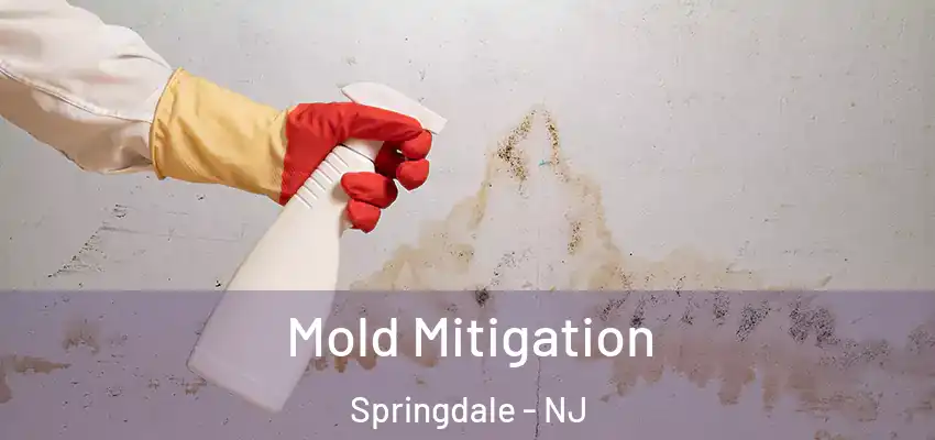  Mold Mitigation Springdale - NJ