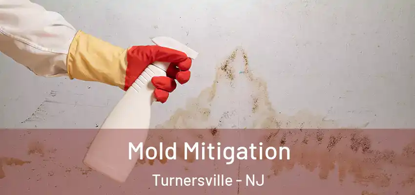  Mold Mitigation Turnersville - NJ