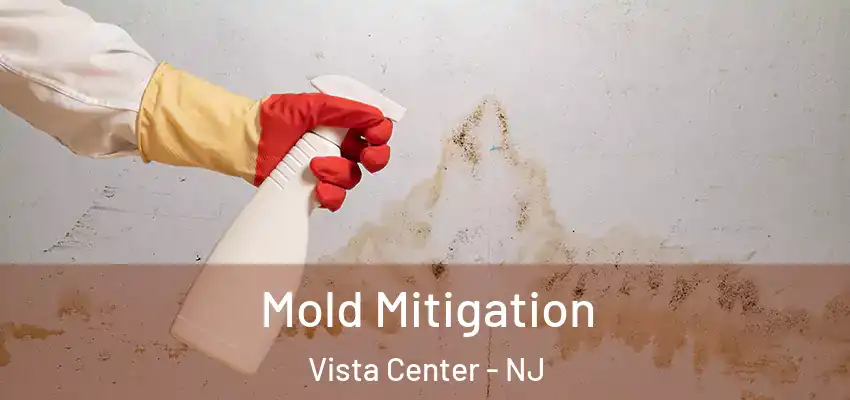 Mold Mitigation Vista Center - NJ