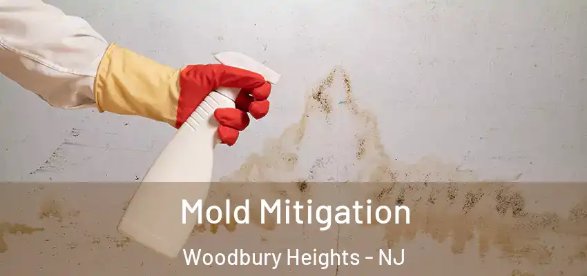 Mold Mitigation Woodbury Heights - NJ