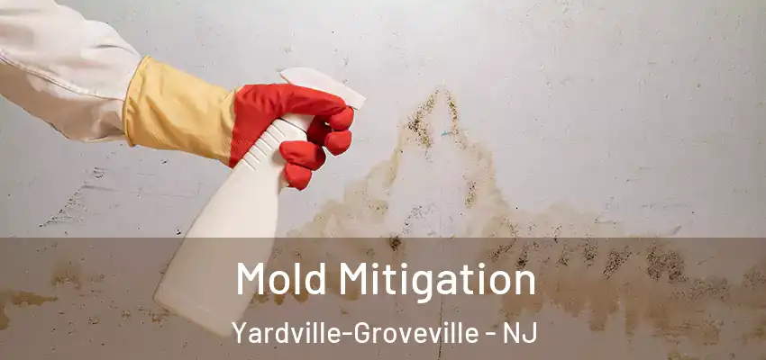  Mold Mitigation Yardville-Groveville - NJ