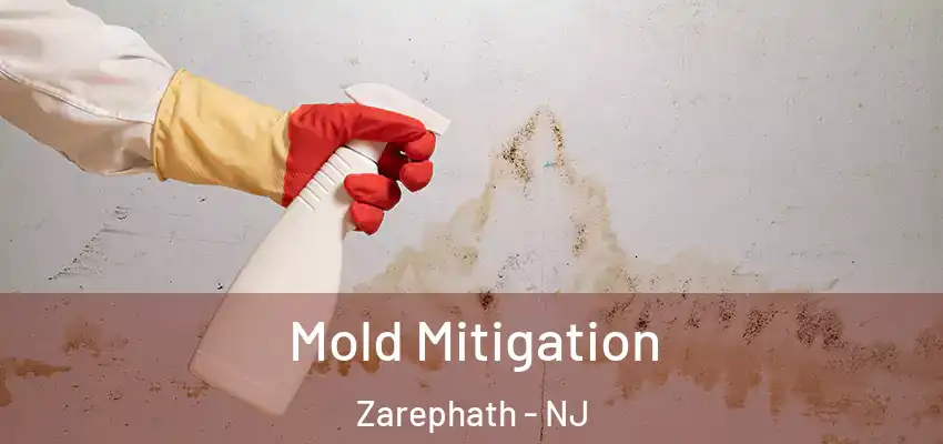  Mold Mitigation Zarephath - NJ