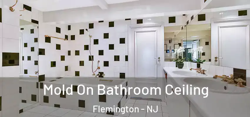  Mold On Bathroom Ceiling Flemington - NJ