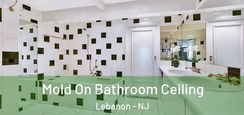  Mold On Bathroom Ceiling Lebanon - NJ