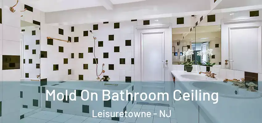 Mold On Bathroom Ceiling Leisuretowne - NJ