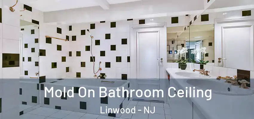 Mold On Bathroom Ceiling Linwood - NJ