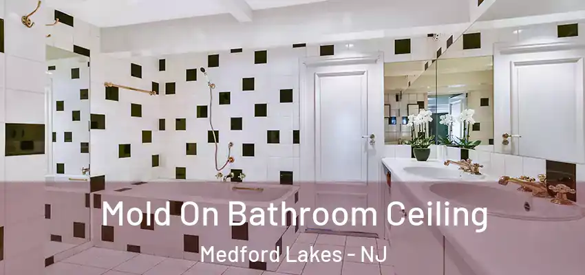  Mold On Bathroom Ceiling Medford Lakes - NJ