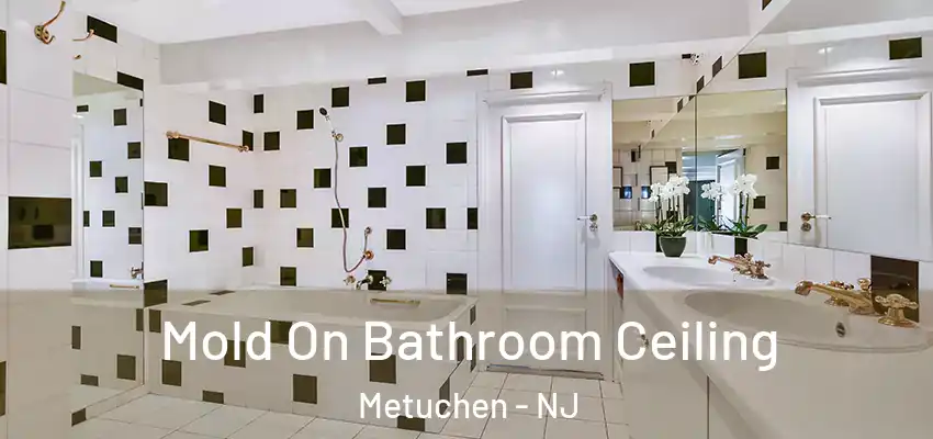 Mold On Bathroom Ceiling Metuchen - NJ