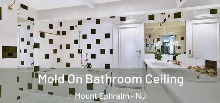 Mold On Bathroom Ceiling Mount Ephraim - NJ