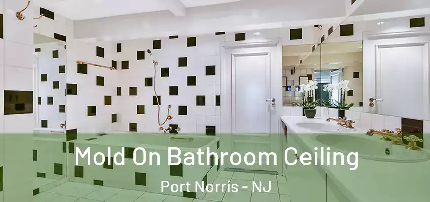  Mold On Bathroom Ceiling Port Norris - NJ