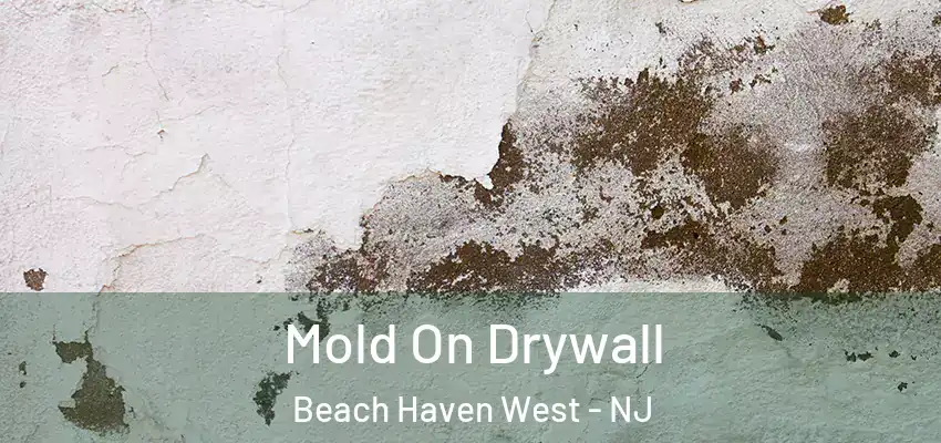 Mold On Drywall Beach Haven West - NJ