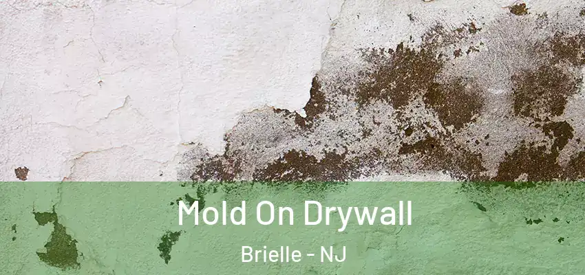  Mold On Drywall Brielle - NJ